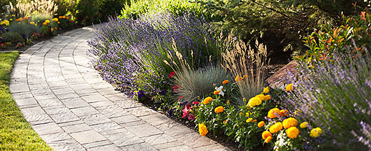 Our Gallery - Landscaping Photos